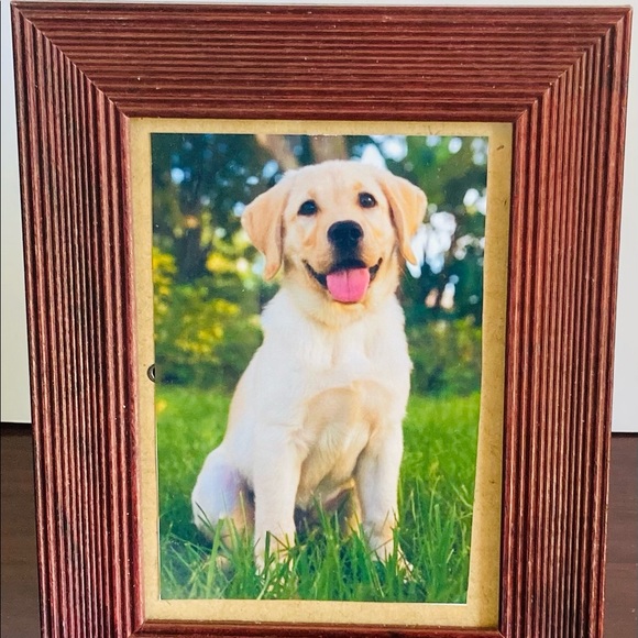 NWOT Inspirational decor and pic frames - $19ea - Picture 11 of 11